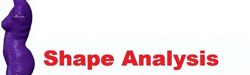 Shape Analysis